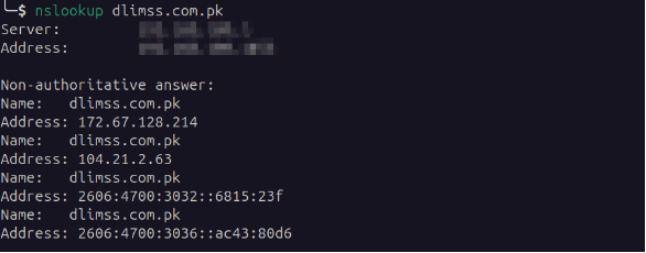 Nslookup output