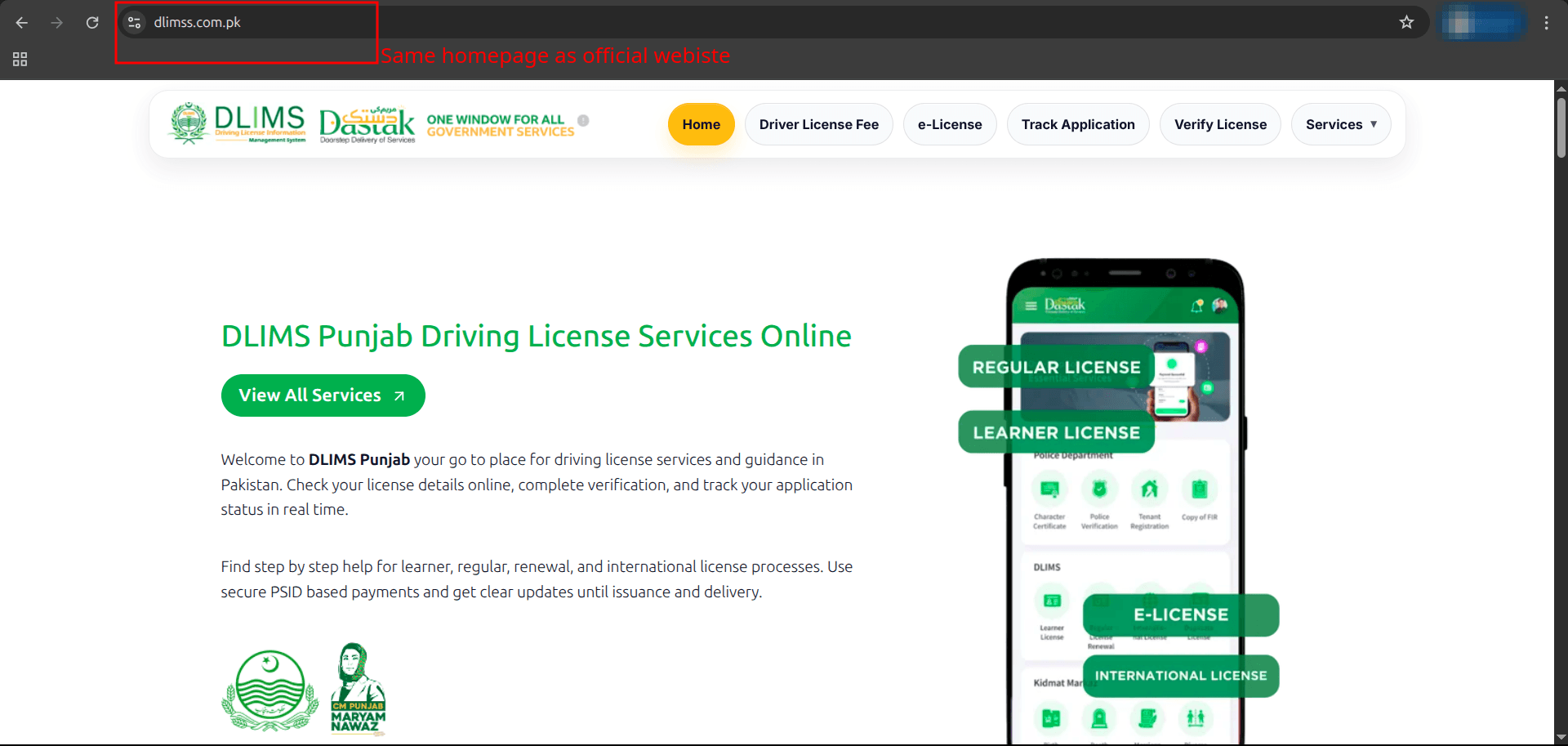 Fake website homepage