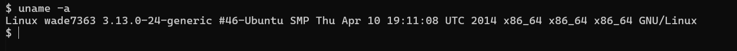 uname -a output