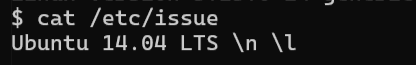 cat /etc/issue output