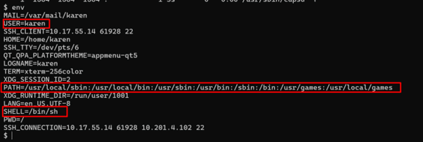 env output