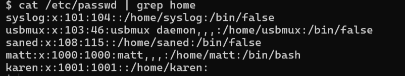 grep home on /etc/passwd