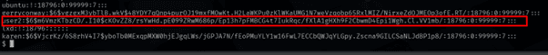 Reading /etc/shadow continued, user2's hash highlighted