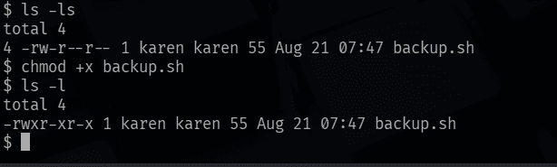 Checking and fixing backup.sh permissions