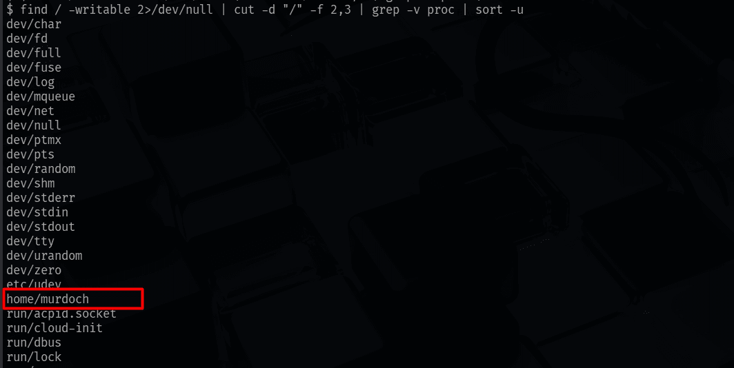 find -writable output, /home/murdoch highlighted