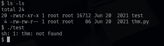 ls -ls of /home/murdoch and ./test failing with "thm: not found"