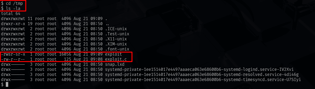 Confirming the mounted exploit files appear inside /tmp on the target