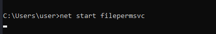 Starting the service to execute the replaced binary